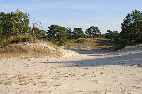 Friseboda naturreservat
