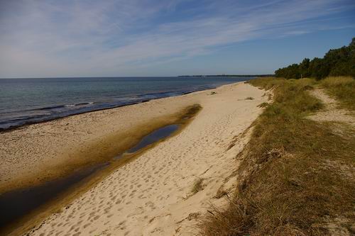 Ystad sandskog