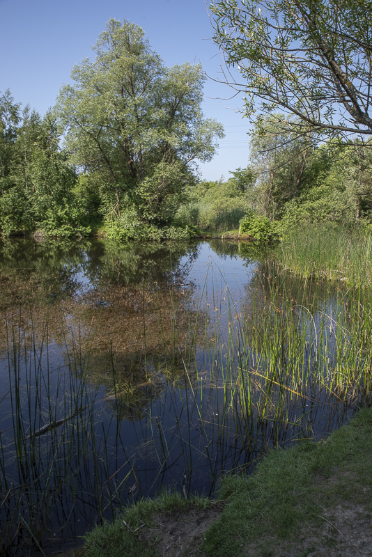 Kglinge strvomrde