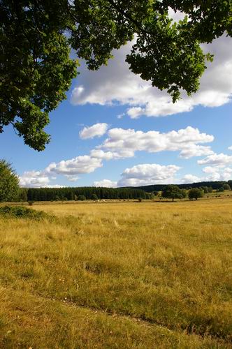 Hckeberga naturreservat