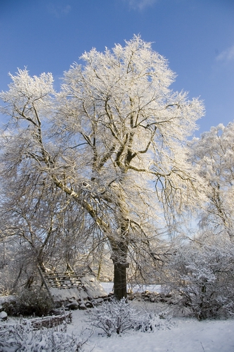 Hrjelgrden