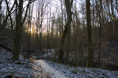 Borgens naturreservat