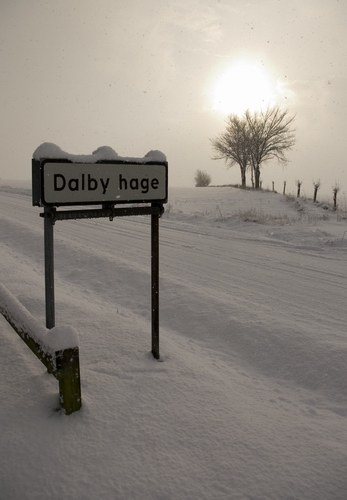 Dalby hage