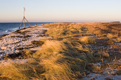 Mklppen i januari