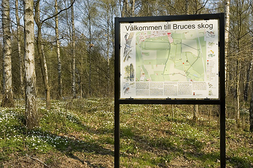 Bruces skog