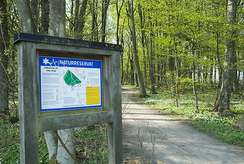 Vla skog