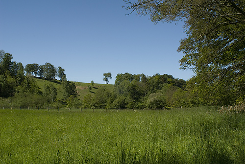 Naturreservatet Borgen