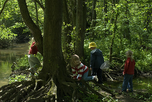 Naturreservatet Borgen