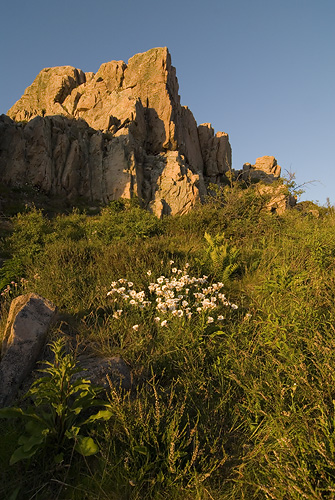 Kullaberg