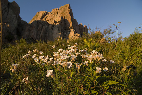 Kullaberg