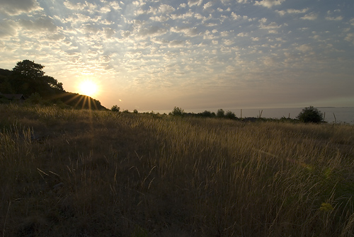 Strandhagen