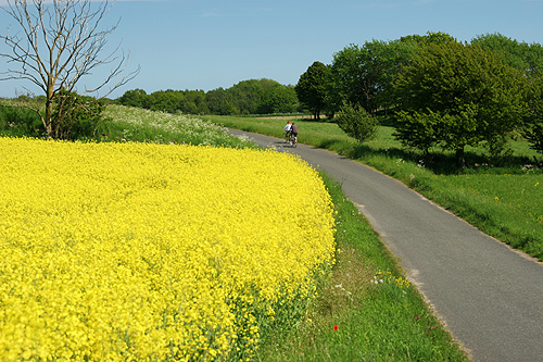 Cykeltur p sterlen