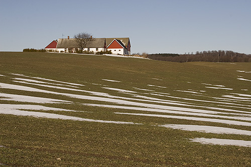 Grd i backlandskapet