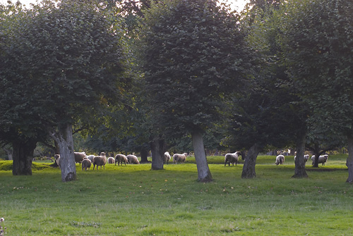 Frbete vid Rosendal