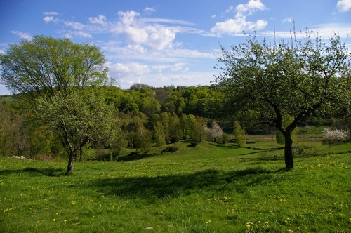 Sinarpsdalen