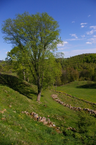 Sinarpsdalen