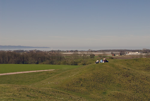 Picnic