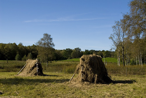 Ledtorpet, Hallandssen