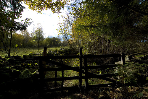 Anderstorp Eneskogen