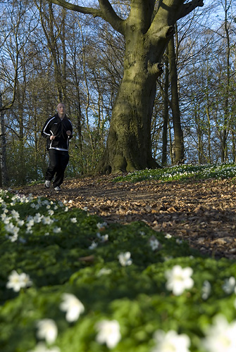 Jogging vid Raus mark