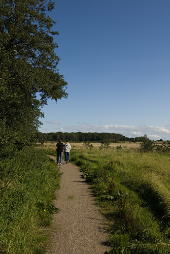 Bruces skog