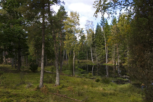 Mllers skog