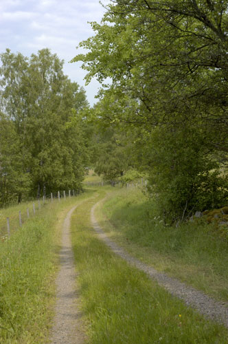 Grusvg vid Ingeborrarp