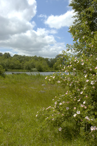 Naturreservat Abullahagen