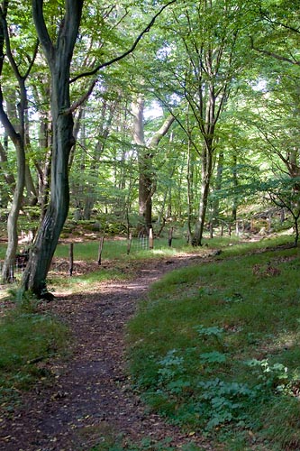 Stenshuvud nationalpark