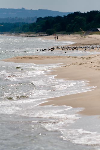 Stranden vid Friseboda