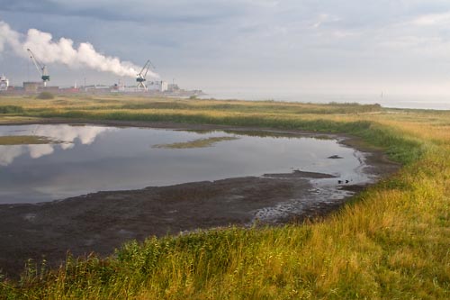 Naturreservatet spet