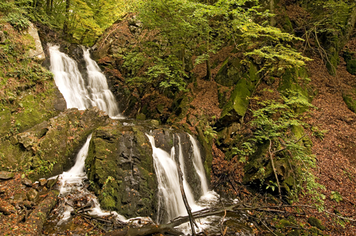 Forsakar Natur Reservat