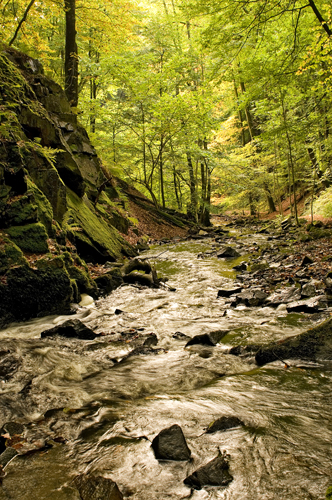 Forsakar Natur Reservat