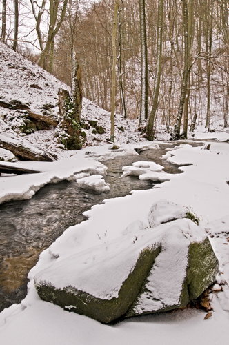 Forsakar Natur Reservat