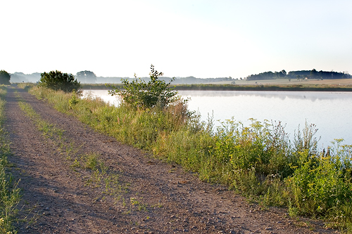 rtofta sockerbruksdammar