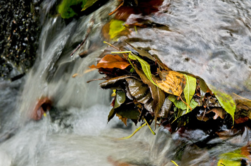 Sdersens Nationalpark