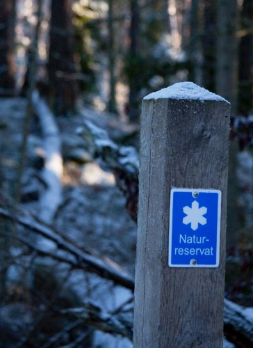 Nyteboda naturreservat