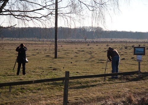 Transkdning vid Pulken