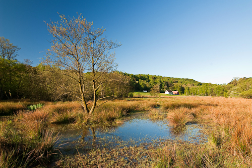 Sinarpsdalen