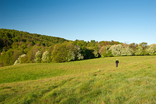 Sinarpsdalen