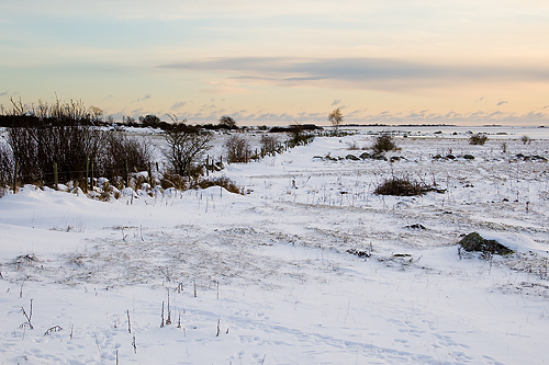 Vinter i Tosteberga