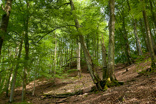 Sdersens nationalpark