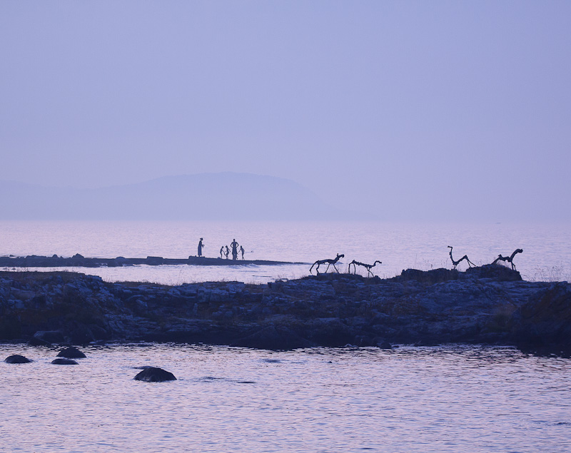 Skymning vid havet