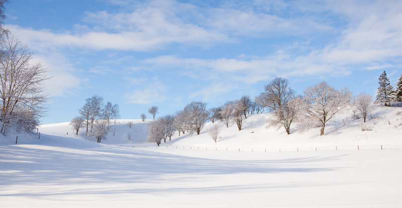 Vinter sterlen