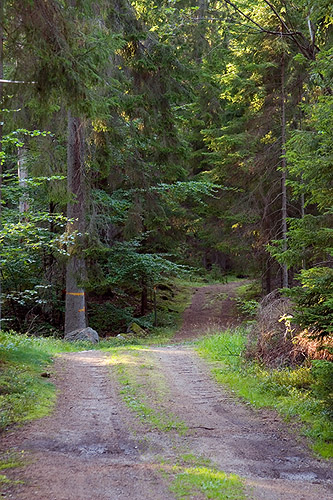 Skneleden i Nyteboda